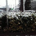 予想外の雪