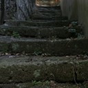 散歩＋カメラ、階段編