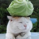 ていでんもときとばあいをえらばないと・・・