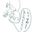 日曜月曜は福井へ行きます