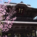 3月27日の日記