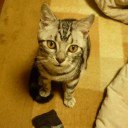 「不謹慎」って、ふぁに？