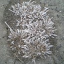 2011年3月26日（土）