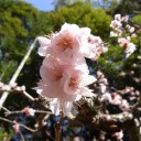 やっぱり持ってる