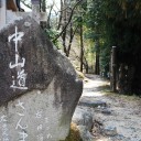 古き路　　dilute　line