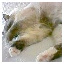 冷静になってみると・・・