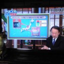 ネコちゃんず177日目