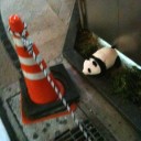 ２０１１　春コレ２