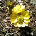 2011年4月6日（水）