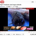破壊ちゃん大活躍☆　“弁当屋の開業準備と言ふもの”　の巻