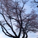 4月8日の日記