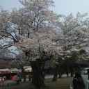 ２日目：大阪・京都
