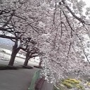 4月11日の日記