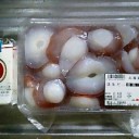 桜通信2011　VOL.2　“毎日全身緊張状態”　の巻