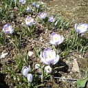 2011年4月12日（火）
