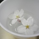 お昼の楽しみ