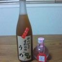 金曜日◆桜のたより