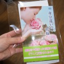 身分違いの花嫁　アン･ヘリス