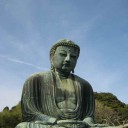 牡丹開花まであと少し