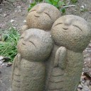 牡丹開花まであと少し