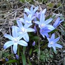 2011年4月18日（月）