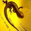 人生は忍耐道場　“そして歴史は繰り返される”　の巻