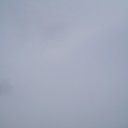 いさぎよく