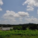 土曜〓墓参りとPCと〓