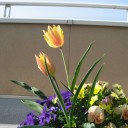 4月24日の日記