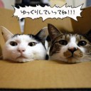 4月25日の日記