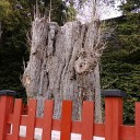 江ノ島