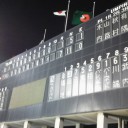 【プロ野球】観戦レポ_ヤ－巨3回戦＠草薙。