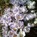 2011年4月27日（水）