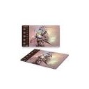 ＧＰ神戸参戦記【SEレガシー編】