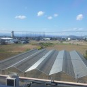 緑の地平線を見に行く。
