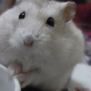GW