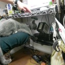 ラップ母、クレラップの恩恵に肖る　“じくじくしていていい感じ☆”　の巻