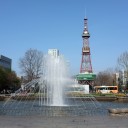 やっと開花