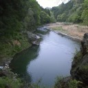 多摩川の水位はちょっと低めなのだそうだ。