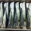 夏だもんなー、白が美味いよ