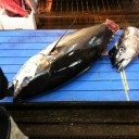 京都中央卸売第一市場にて