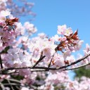 タイムは予想どおりだったが．．．