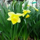 2011年5月6日（金）