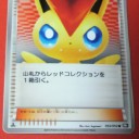 自然の中でポケカが楽しめたような感じ