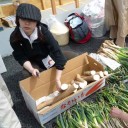 宮城県へ行ってきたよ。　～物資編～