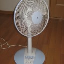 早くも出陣