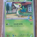 大人コレクター泣かせなカード、ゲットだぜ！！