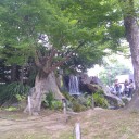 日曜〓珈琲と酒と〓