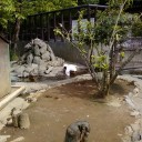 種族を超えた愛