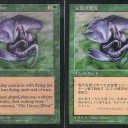 エラーカード5/15